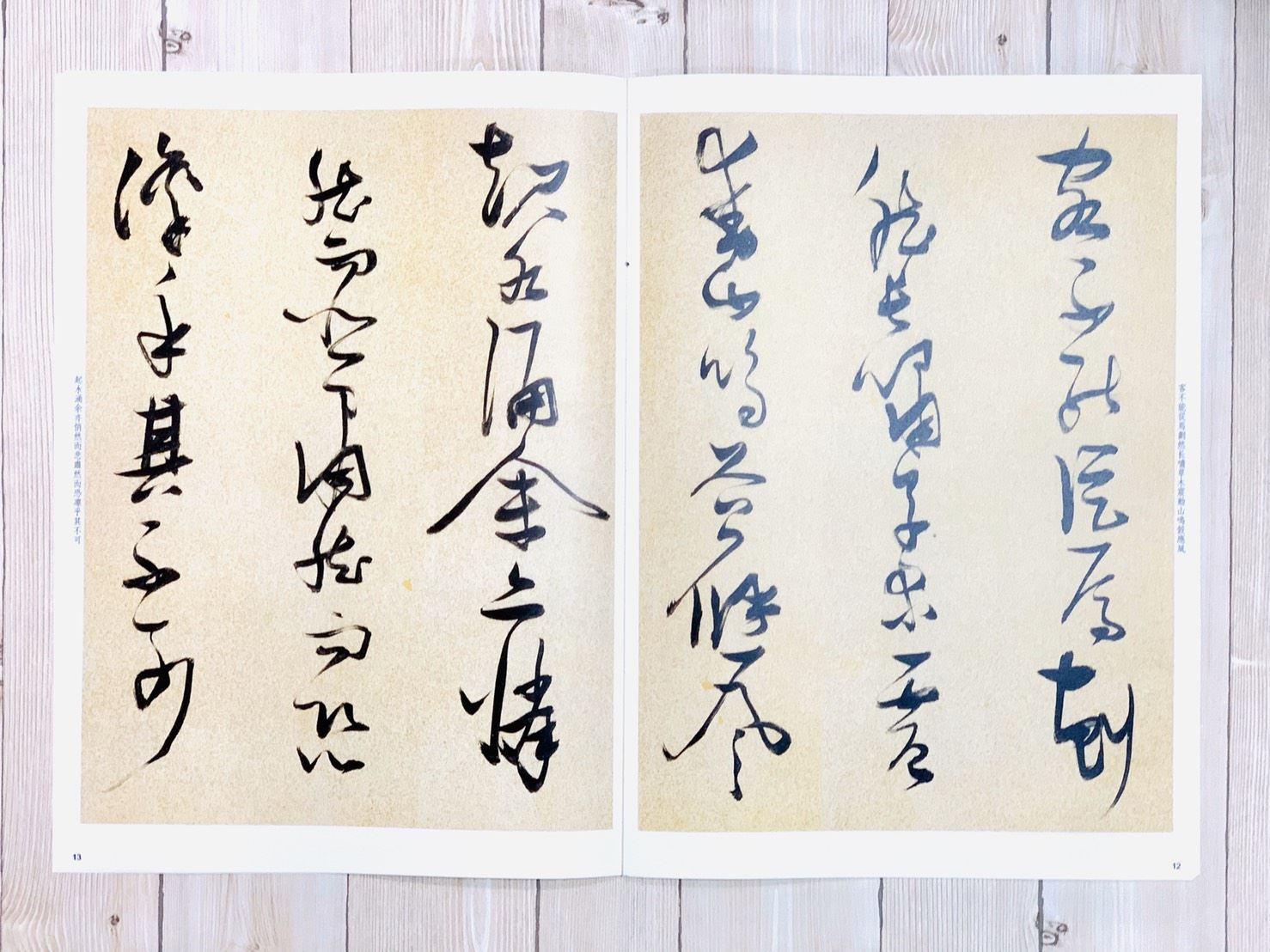 《張瑞圖書後赤壁賦》孫寶文 編  彩色放大 中國著名碑帖  上海辭書出版社