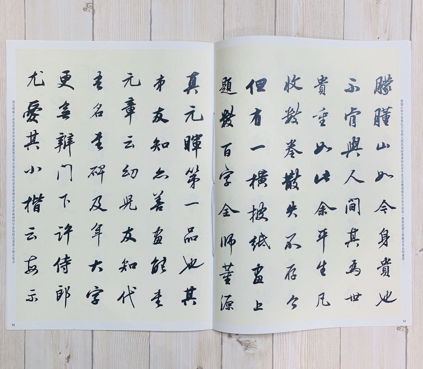《董其昌論畫》孫寶文 編 彩色放大 中國著名碑帖  上海辭書出版社