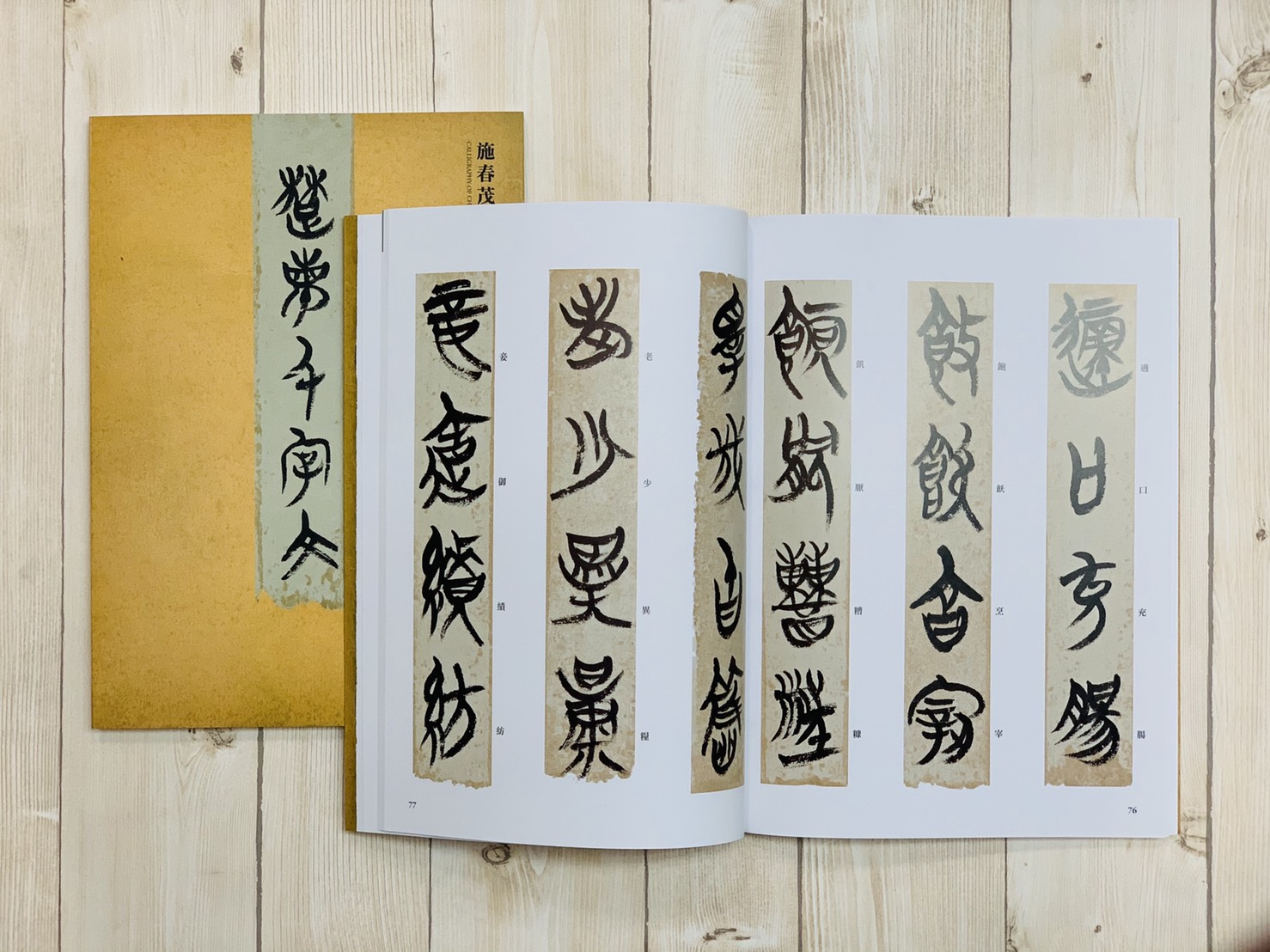 《施春茂 楚簡千字文》 楚簡 千字文 楓書坊文化出版社