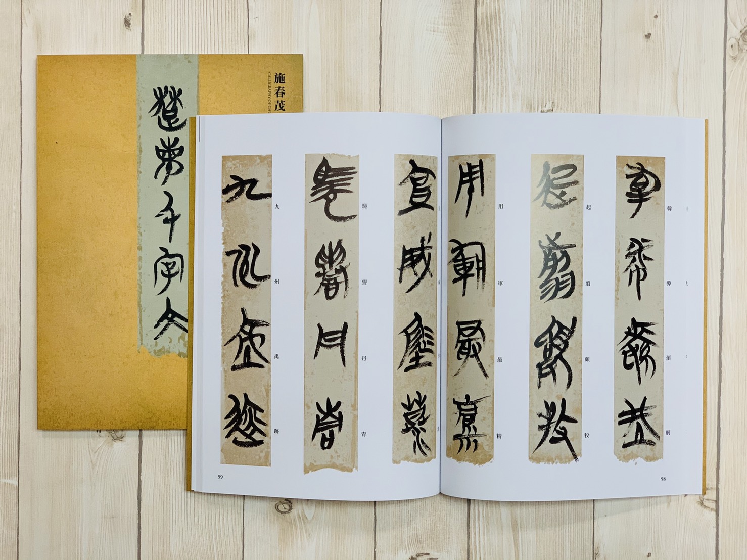 《施春茂 楚簡千字文》 楚簡 千字文 楓書坊文化出版社