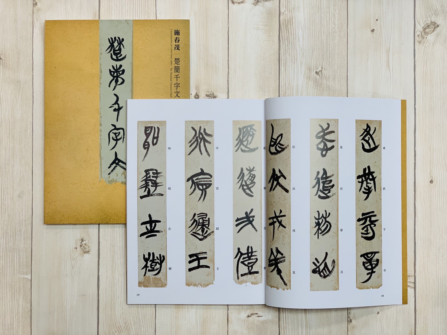 《施春茂 楚簡千字文》 楚簡 千字文 楓書坊文化出版社