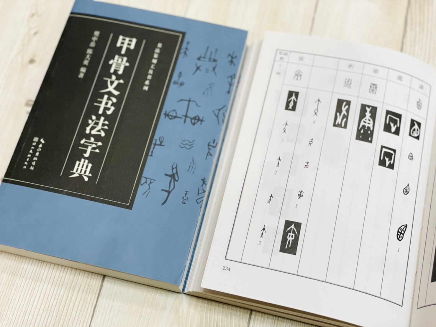 《甲骨文書法字典》  書法篆刻工具書系列 筆畫檢字  樊中岳 陳大英 編著 湖北美術出版社