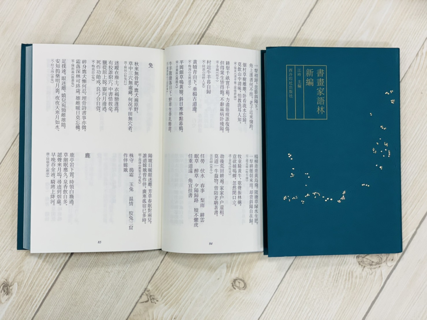 《書畫家語林新編》 江吟 主編 西泠印社出版社