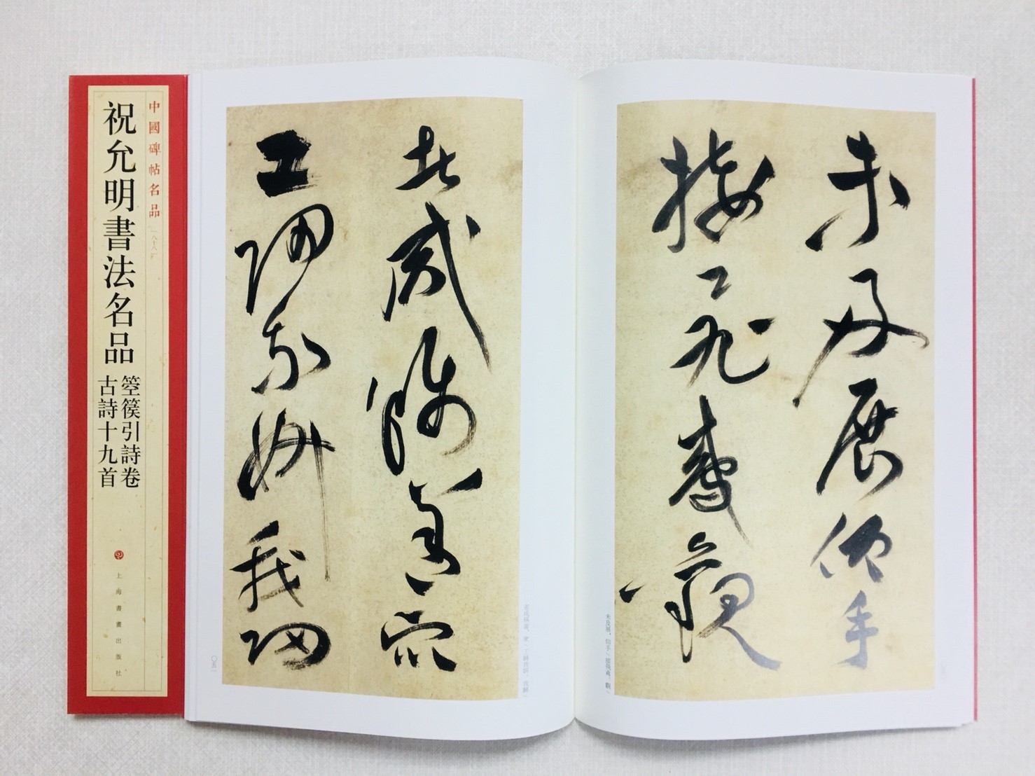 《祝允明書法名品》 88 中國碑帖名品 上海書畫出版社