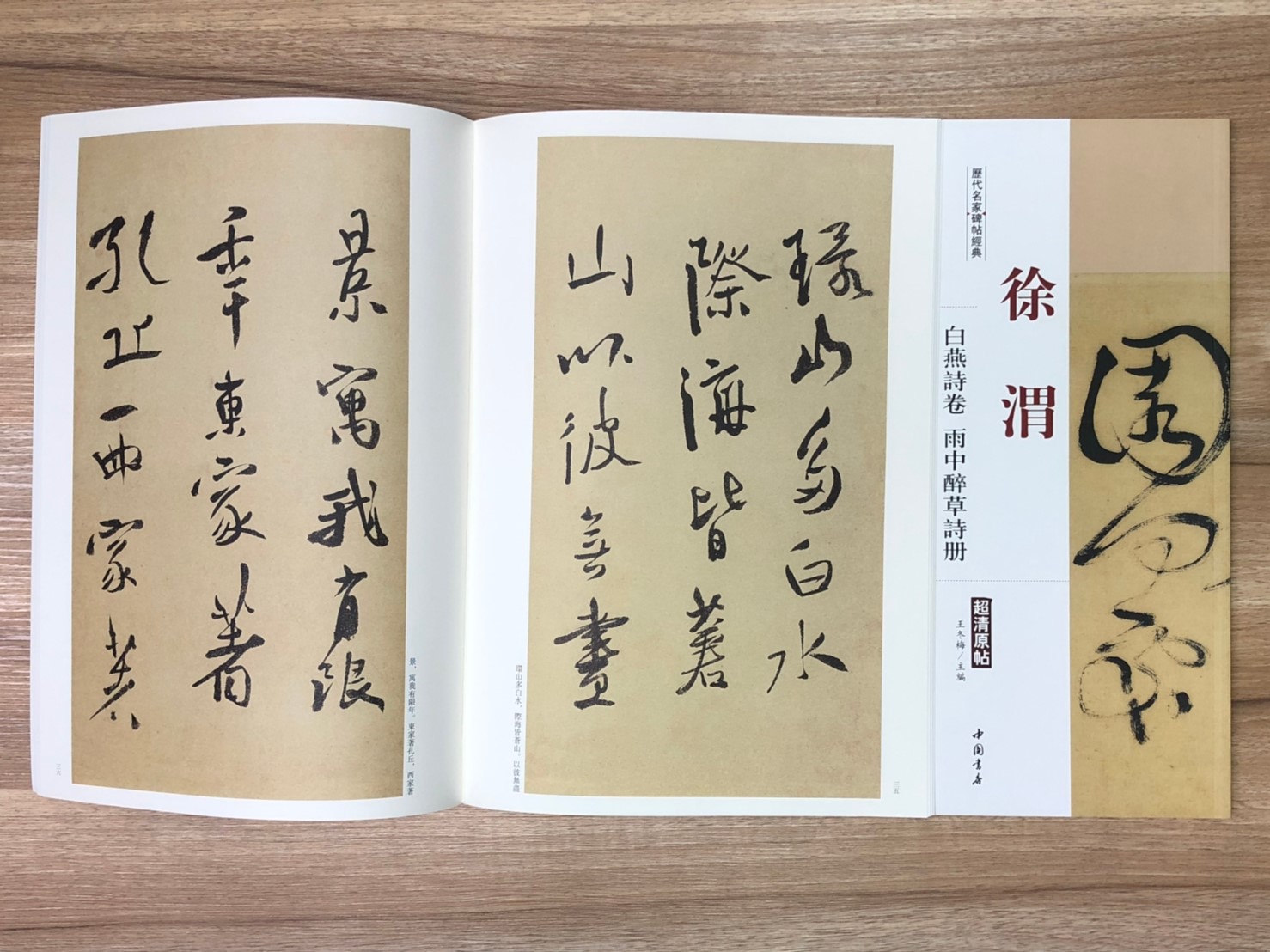 《徐渭 白燕詩.雨中醉草詩冊》歷代名家碑帖經典 中國書店 安徽美術 