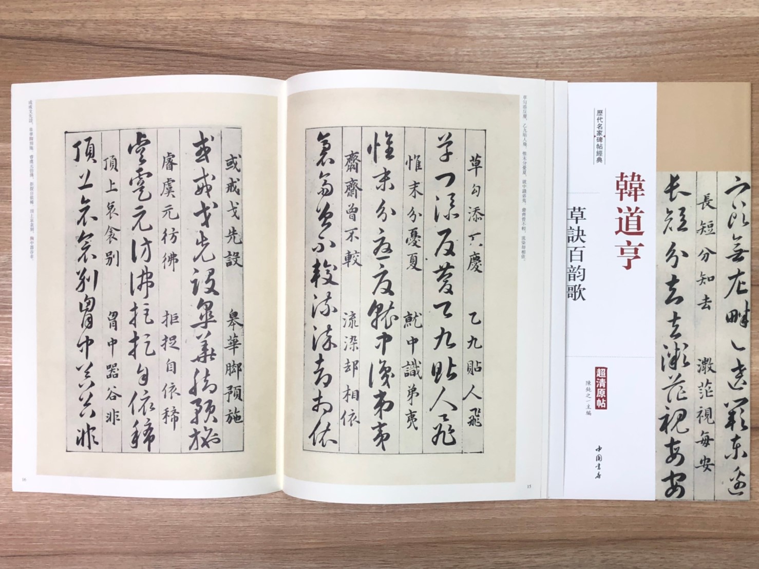 《韓道亨 草訣百韻歌》歷代名家碑帖經典 中國書店 安徽美術