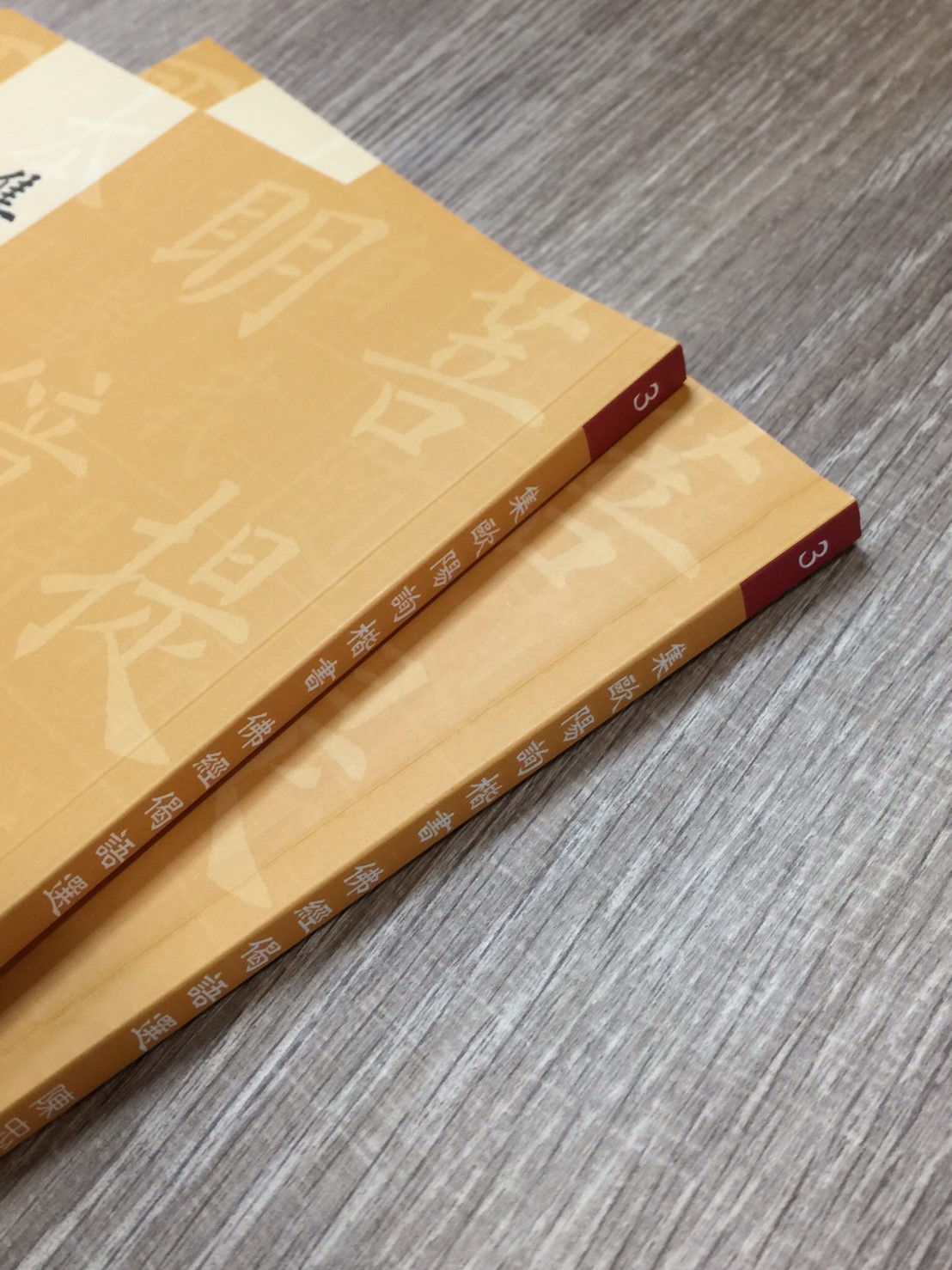 正大原寸放大3《集歐陽詢楷書佛經偈語選》陳忠建 編撰 / 吳清圳 選偈 / 正大光明出版