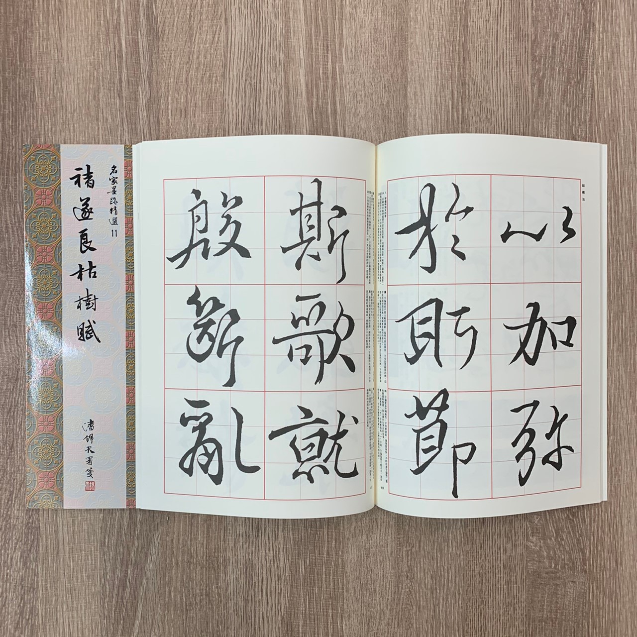 名家(11)《褚逐良枯樹賦》 行書 / 大眾書局