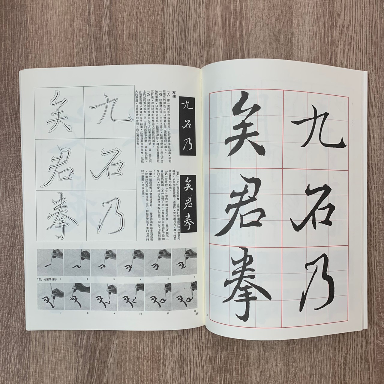 名家(11)《褚逐良枯樹賦》 行書 / 大眾書局