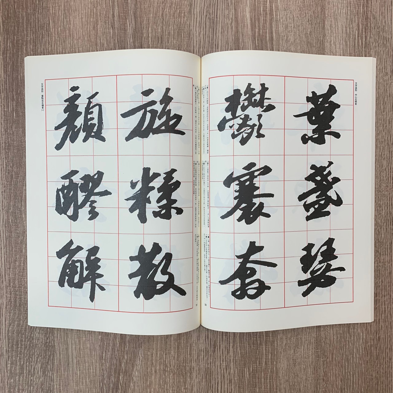 名家(20)《蘇東坡》 行書 / 大眾書局