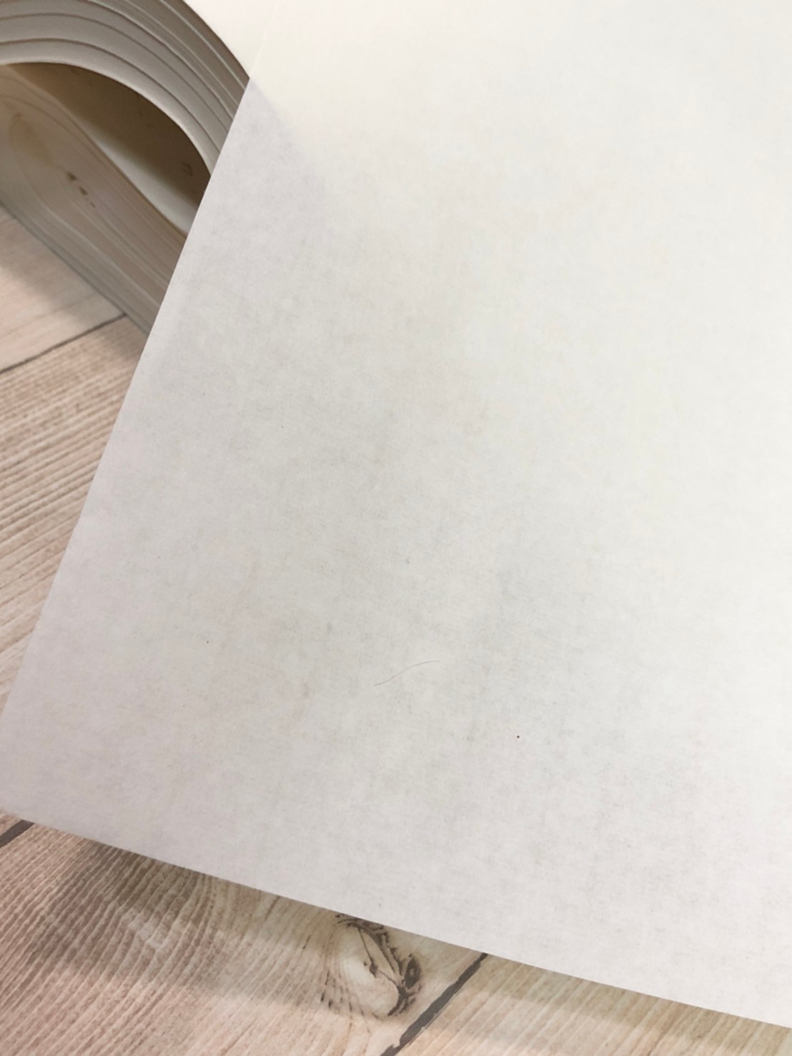 《正大光明宣 45*180cm》  45x180 生宣 半手工宣 宜書宜畫 寫意畫練習紙 安徽製 練習宣