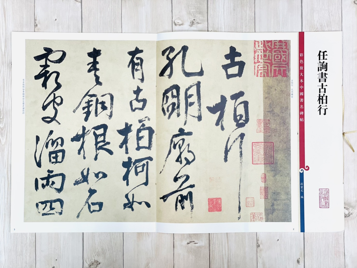 《任詢書古柏文》 彩色放大本中國著名碑帖  孫寶文 上海辭書出版社