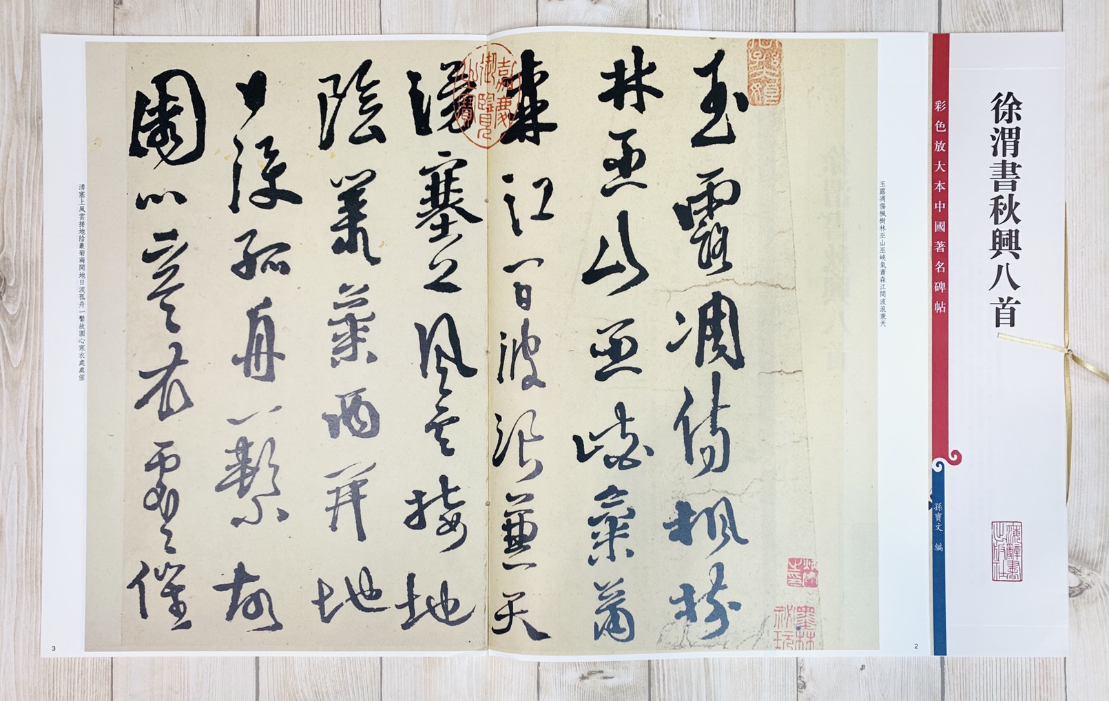 《徐渭書秋興八首》 彩色放大本 中國著名碑帖  孫寶文 上海辭書出版社