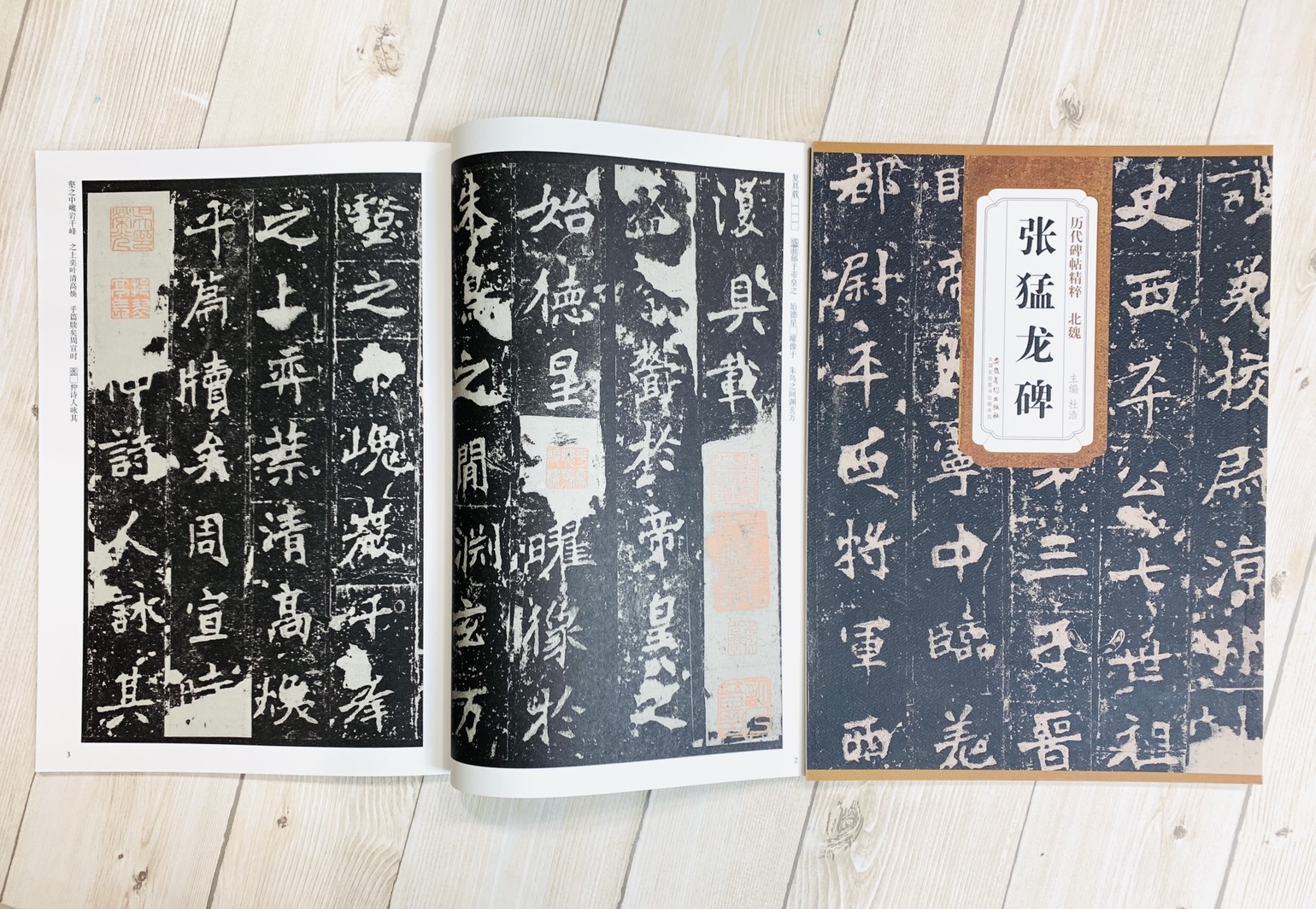 《北魏 張猛龍碑》歷代碑帖精粹 安徽美術出版社
