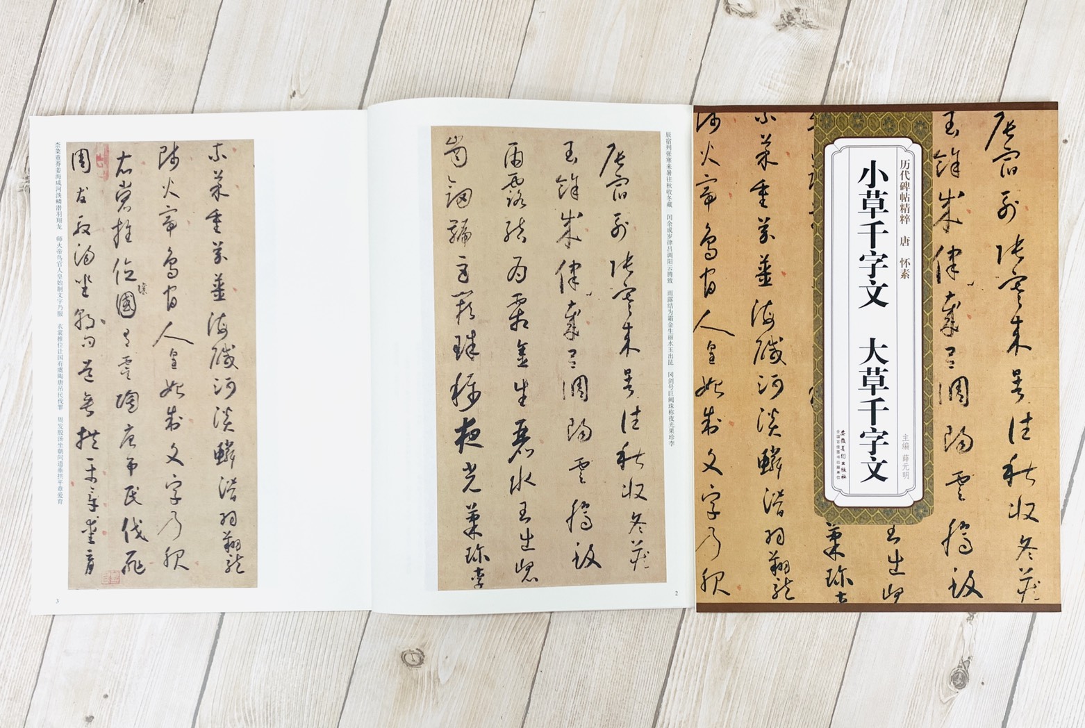 《唐 懷素 小草千字文.大草千字文》歷代碑帖精粹 安徽美術出版社