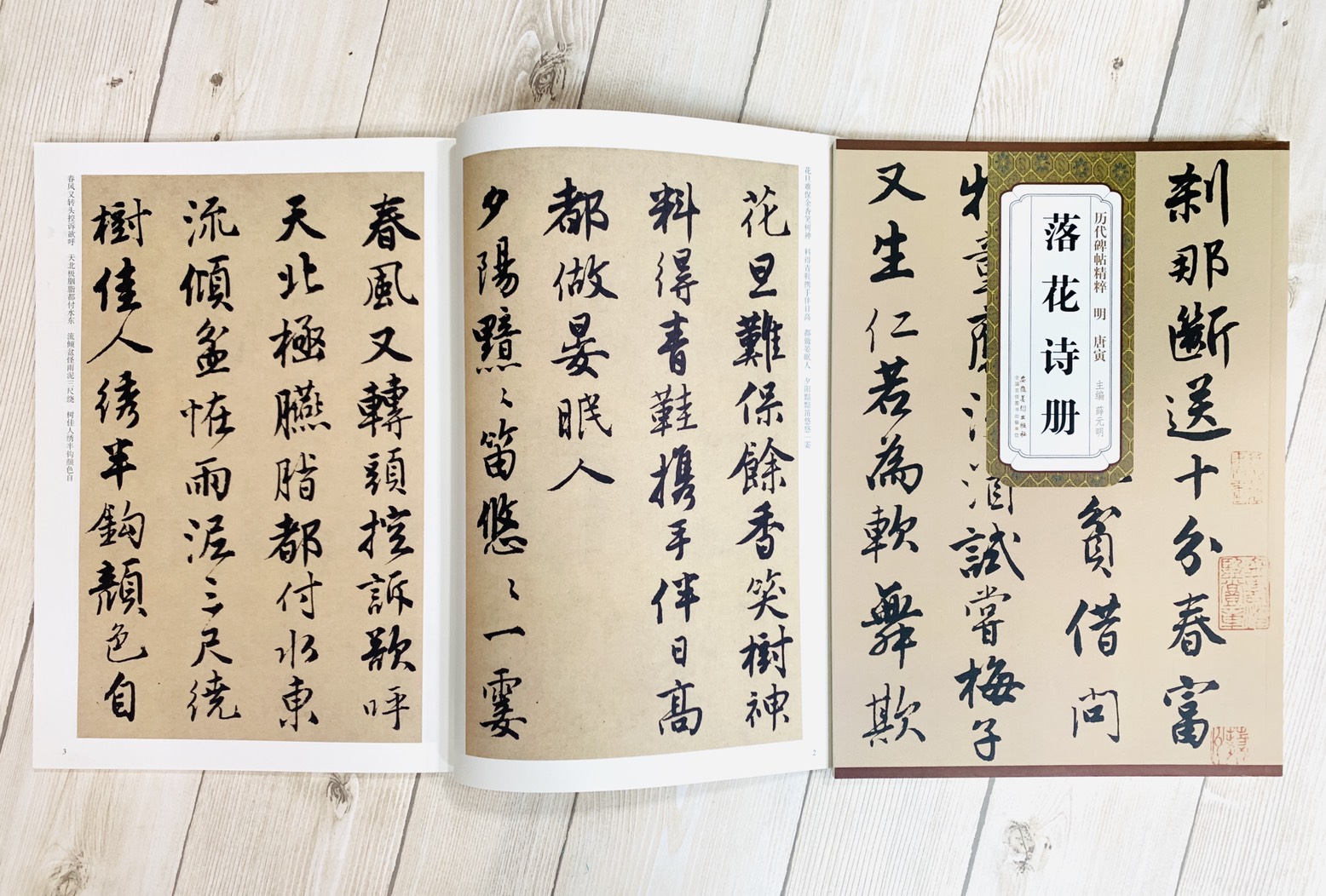 《明 唐寅 落花詩》歷代碑帖精粹 安徽美術出版社