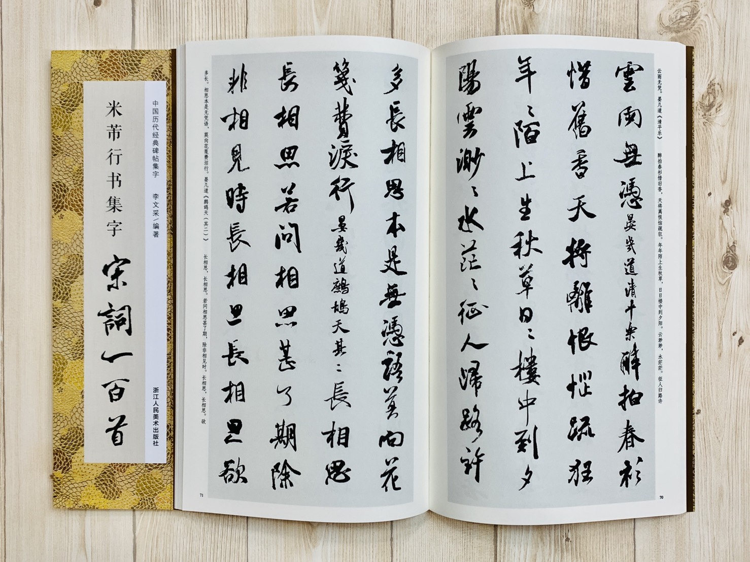 《米芾行書集字 宋詞一百首》 中國歷代經典碑帖集字(第三輯) 浙江人民美術出版社 李文采 編著
