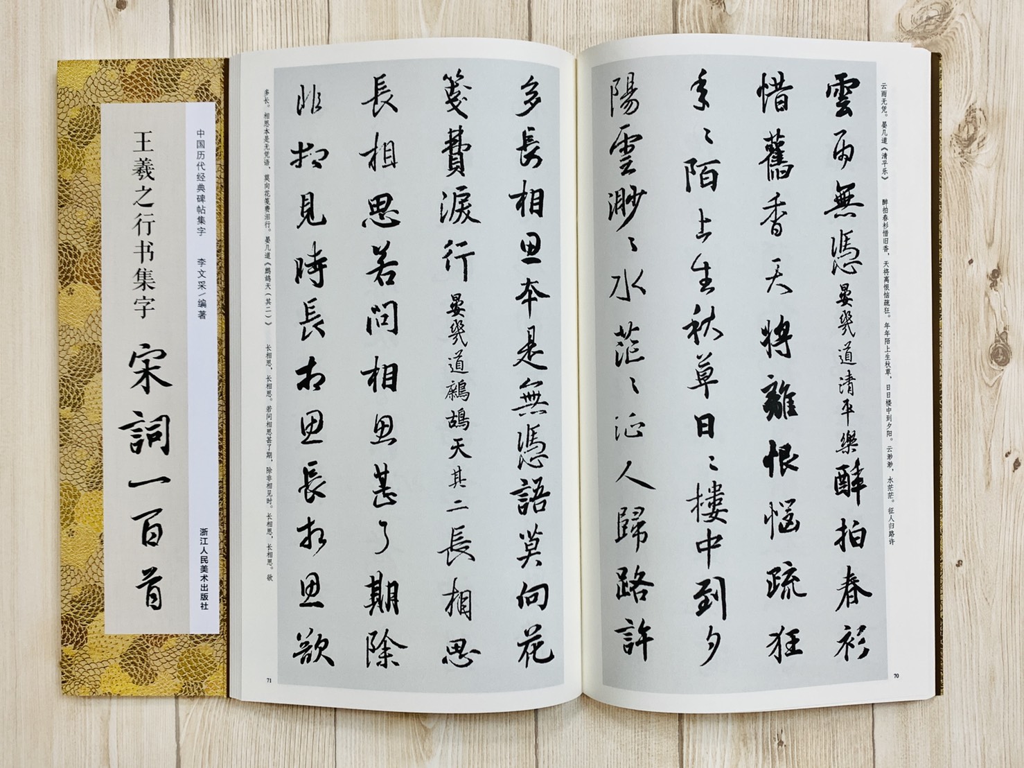 《王羲之行書集字 宋詞一百首》 中國歷代經典碑帖集字(第三輯) 浙江人民美術出版社 李文采 編著
