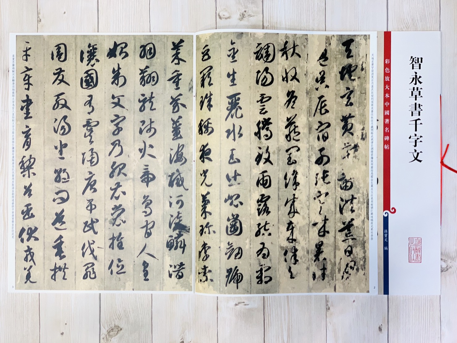 《智永草書千字文》 孫寶文 編 彩色放大 中國著名碑帖  上海辭書出版社