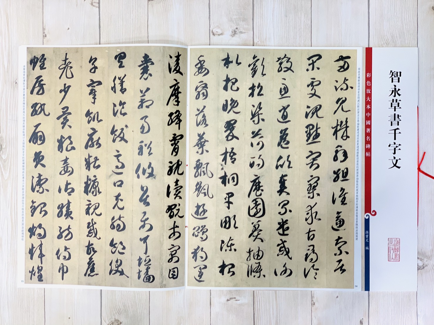 《智永草書千字文》 孫寶文 編 彩色放大 中國著名碑帖  上海辭書出版社