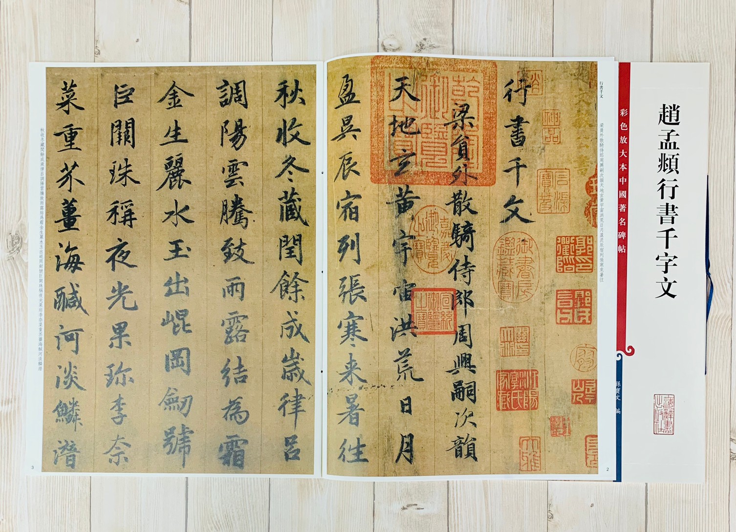 《趙孟頫行書千字文 》 彩色放大 中國著名碑帖  上海辭書出版社