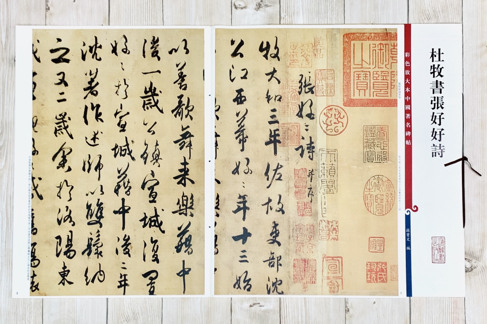 《杜牧書張好好詩 》 彩色放大 中國著名碑帖  上海辭書出版社 