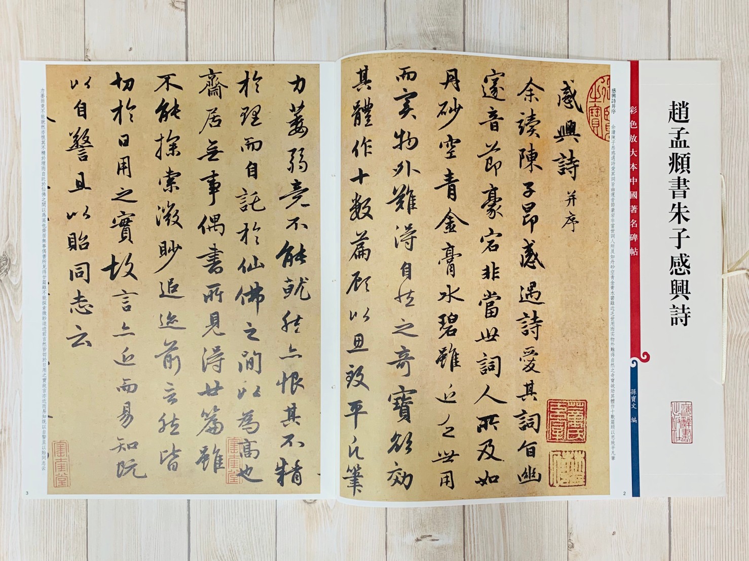 《趙孟頫書朱子感興詩》 孫寶文 編 彩色放大 中國著名碑帖  上海辭書出版社