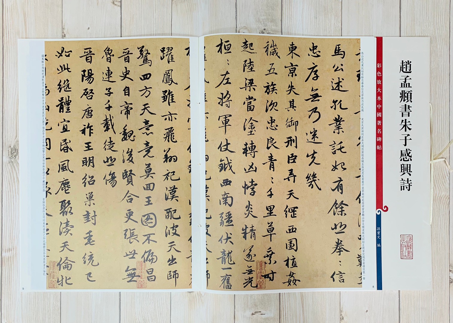 《趙孟頫書朱子感興詩》 孫寶文 編 彩色放大 中國著名碑帖  上海辭書出版社