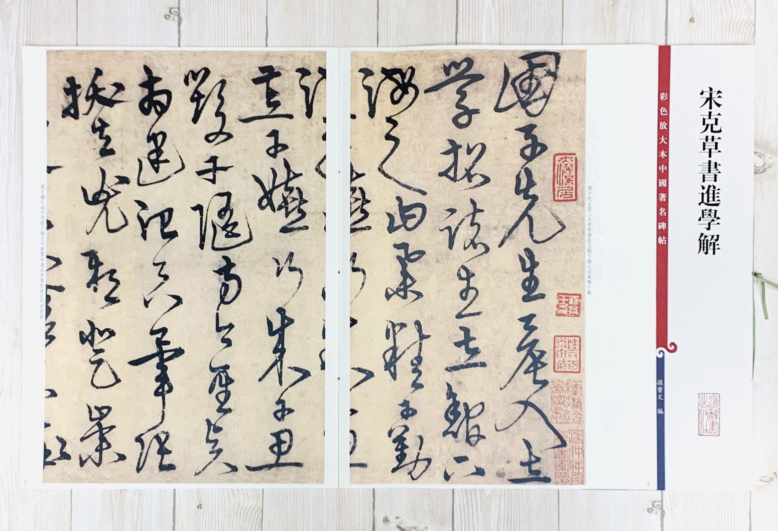 《宋克草書進學解》 孫寶文 彩色放大 中國著名碑帖  上海辭書出版社