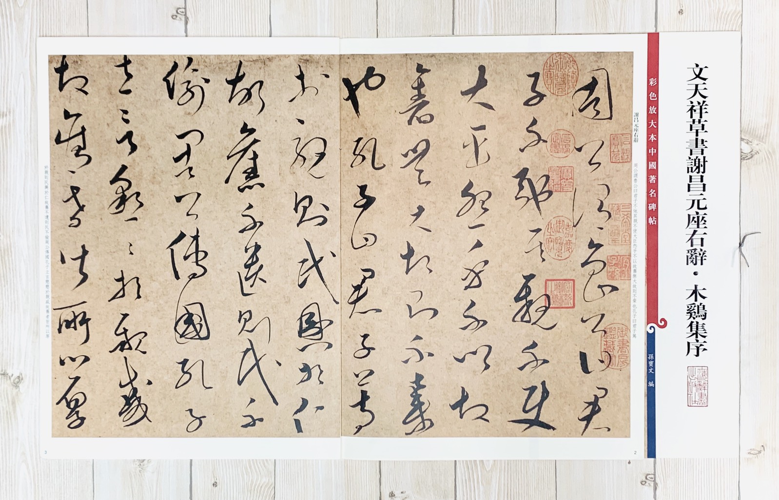 《文天祥草書謝昌元座右辭.木雞集序》孫寶文 彩色放大 中國著名碑帖  上海辭書出版社