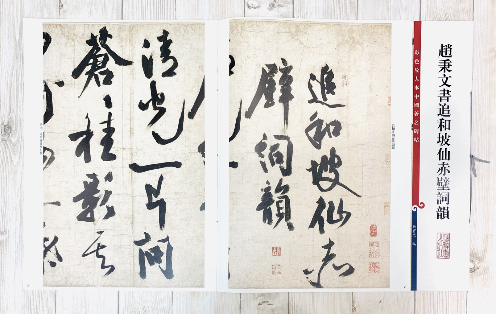 《趙秉文書追和坡仙赤壁詞韻》 孫寶文 彩色放大 中國著名碑帖  上海辭書出版社