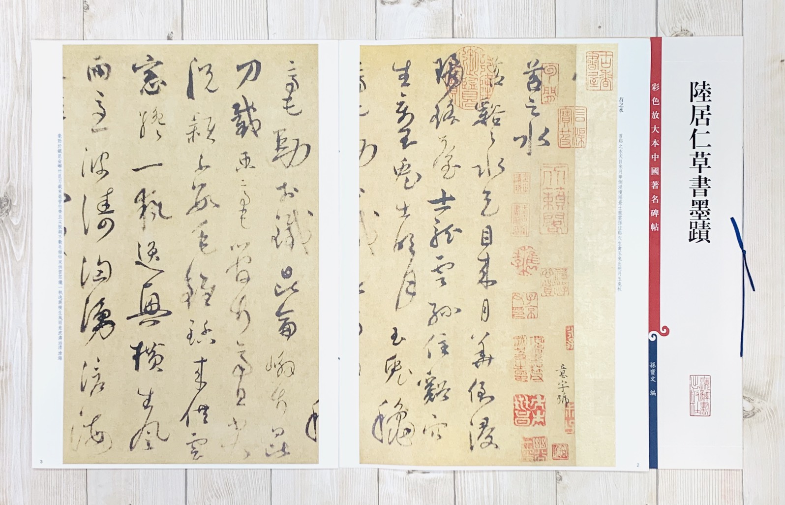 《陸居仁草書墨蹟》 孫寶文彩色放大 中國著名碑帖  上海辭書出版社