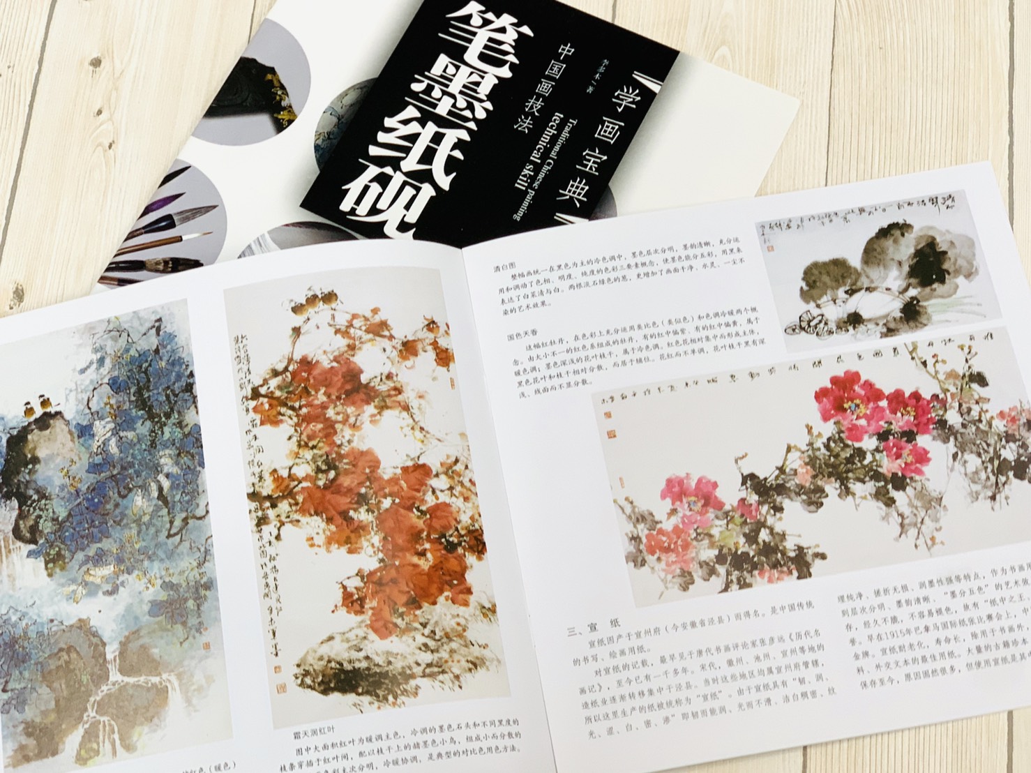 《學畫寶典 筆墨紙硯》中國畫技法 福建美術出版社 寫意 國畫 