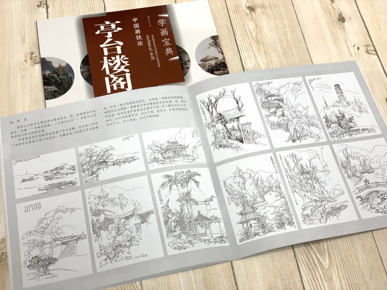《學畫寶典 亭台樓閣 》中國畫技法 福建美術出版社 寫意 國畫 