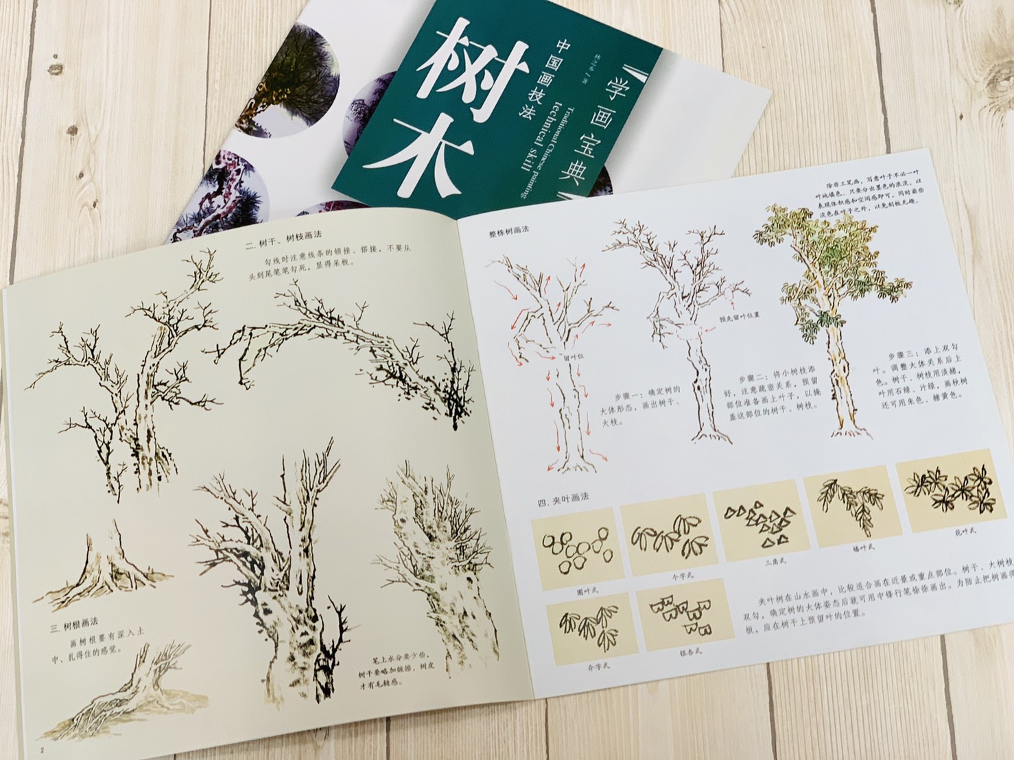 《學畫寶典 樹木 》中國畫技法 福建美術出版社 寫意 國畫 