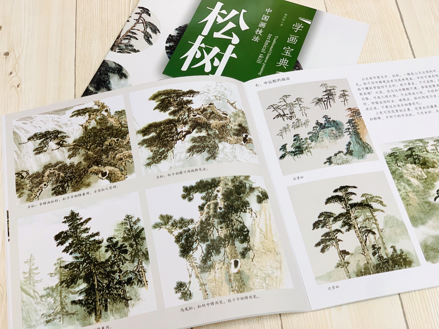 《學畫寶典 松樹 》中國畫技法 福建美術出版社 寫意 國畫 