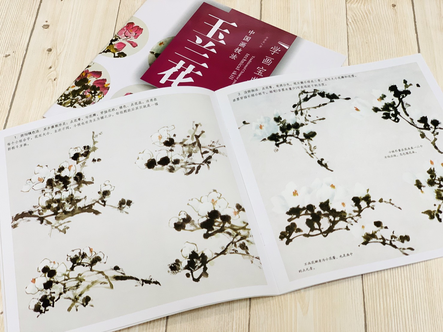 《學畫寶典 玉蘭花 》中國畫技法 福建美術出版社 寫意 國畫 