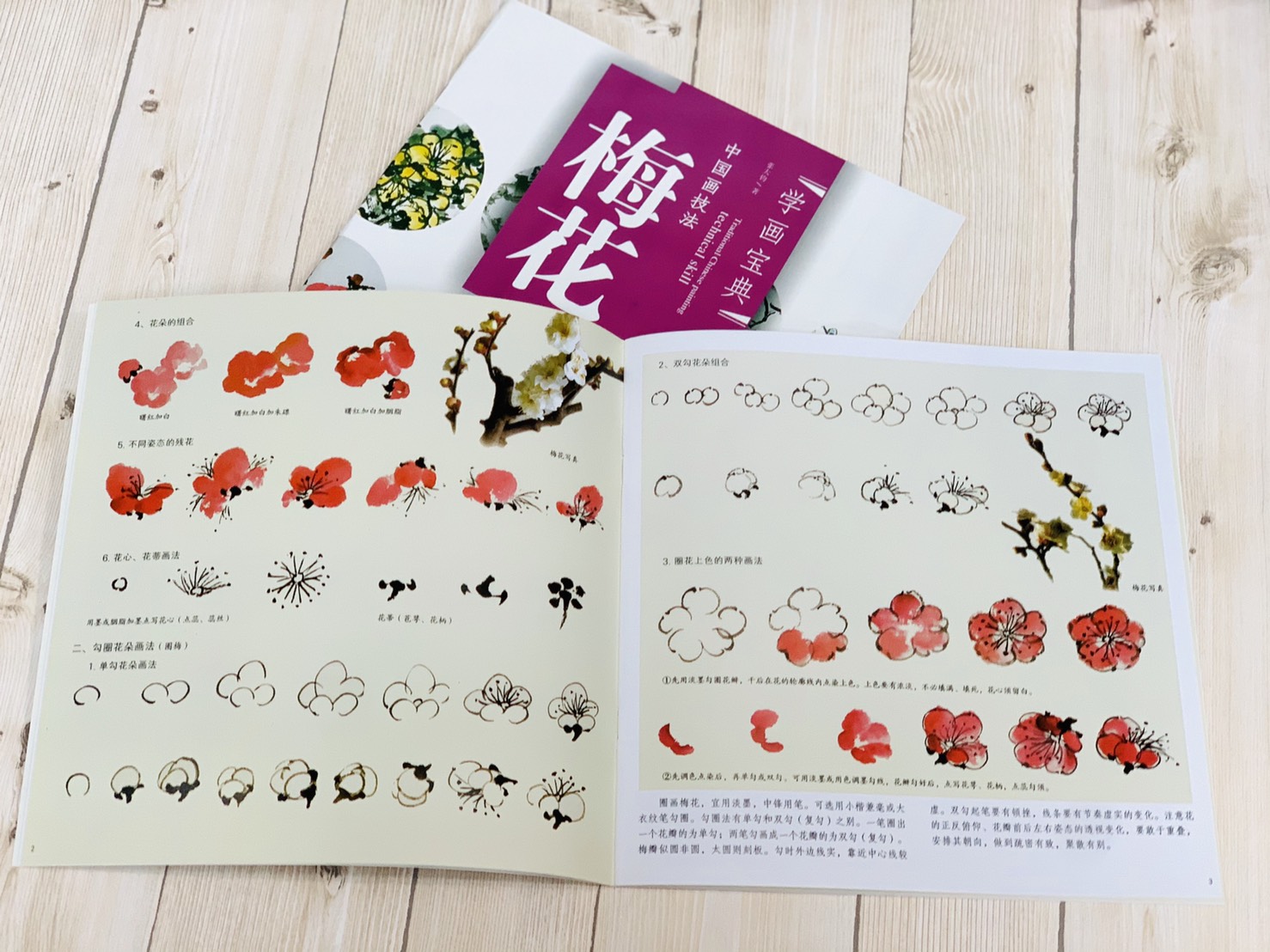 《學畫寶典 梅花 》中國畫技法 福建美術出版社 寫意 國畫 