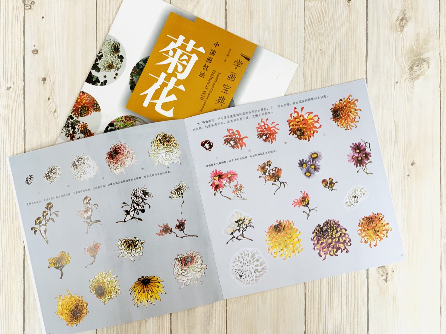 《學畫寶典 菊花 》中國畫技法 福建美術出版社 寫意 國畫 