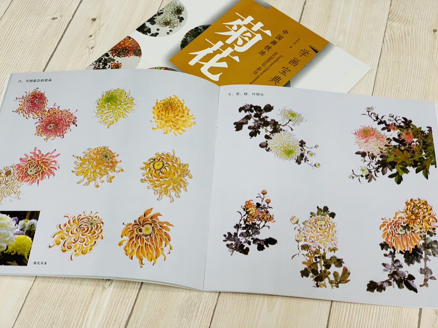 《學畫寶典 菊花 》中國畫技法 福建美術出版社 寫意 國畫 