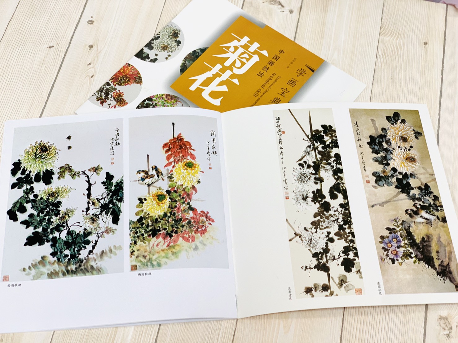 《學畫寶典 菊花 》中國畫技法 福建美術出版社 寫意 國畫 