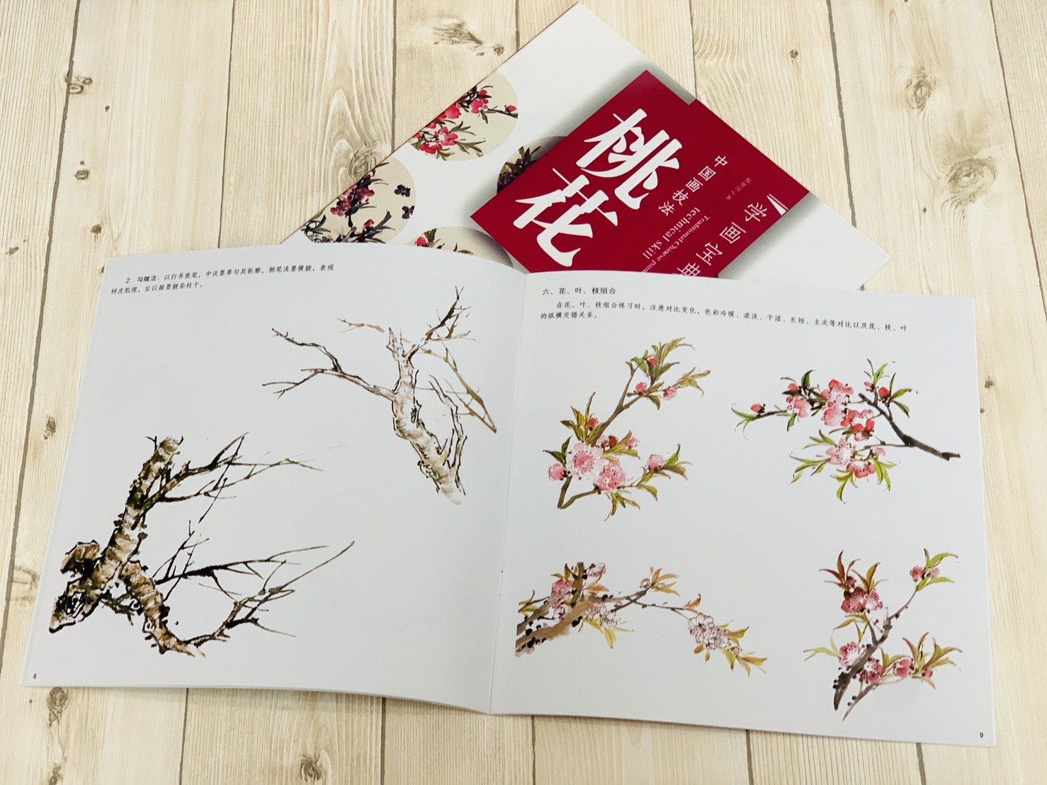 《學畫寶典 桃花 》中國畫技法 福建美術出版社 寫意 國畫 