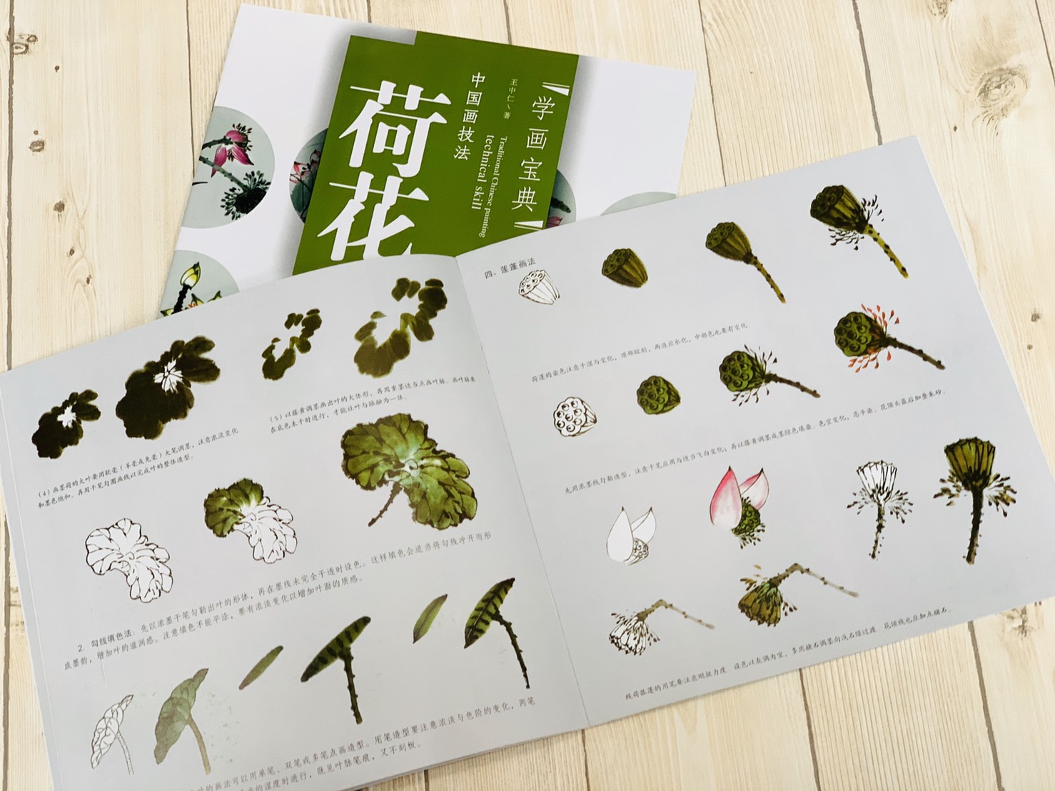 《學畫寶典 荷花 》中國畫技法 福建美術出版社 寫意 國畫 