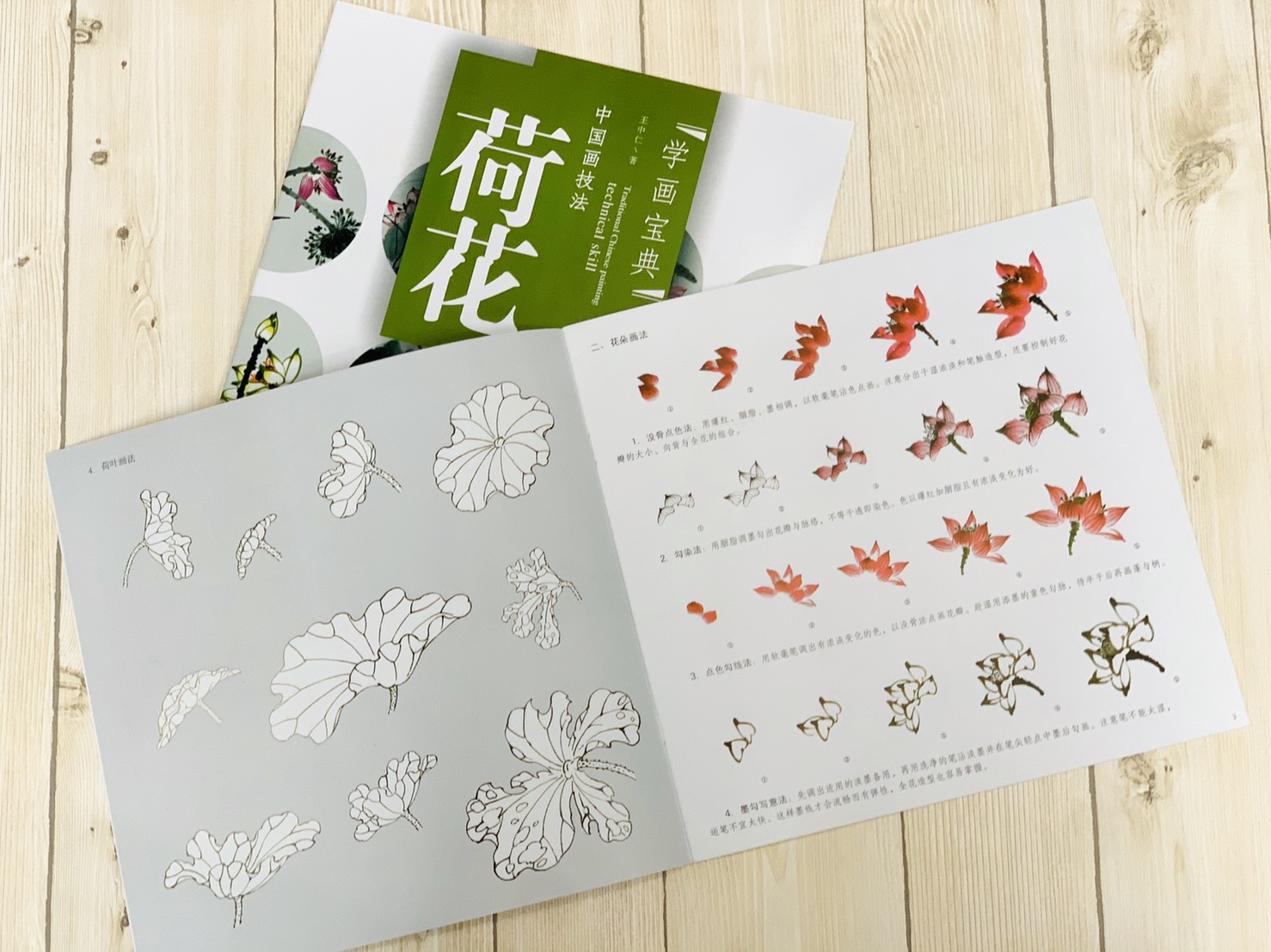《學畫寶典 荷花 》中國畫技法 福建美術出版社 寫意 國畫 