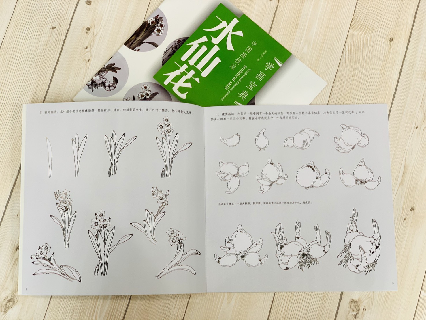 《學畫寶典 水仙花》中國畫技法 福建美術出版社 寫意 國畫 