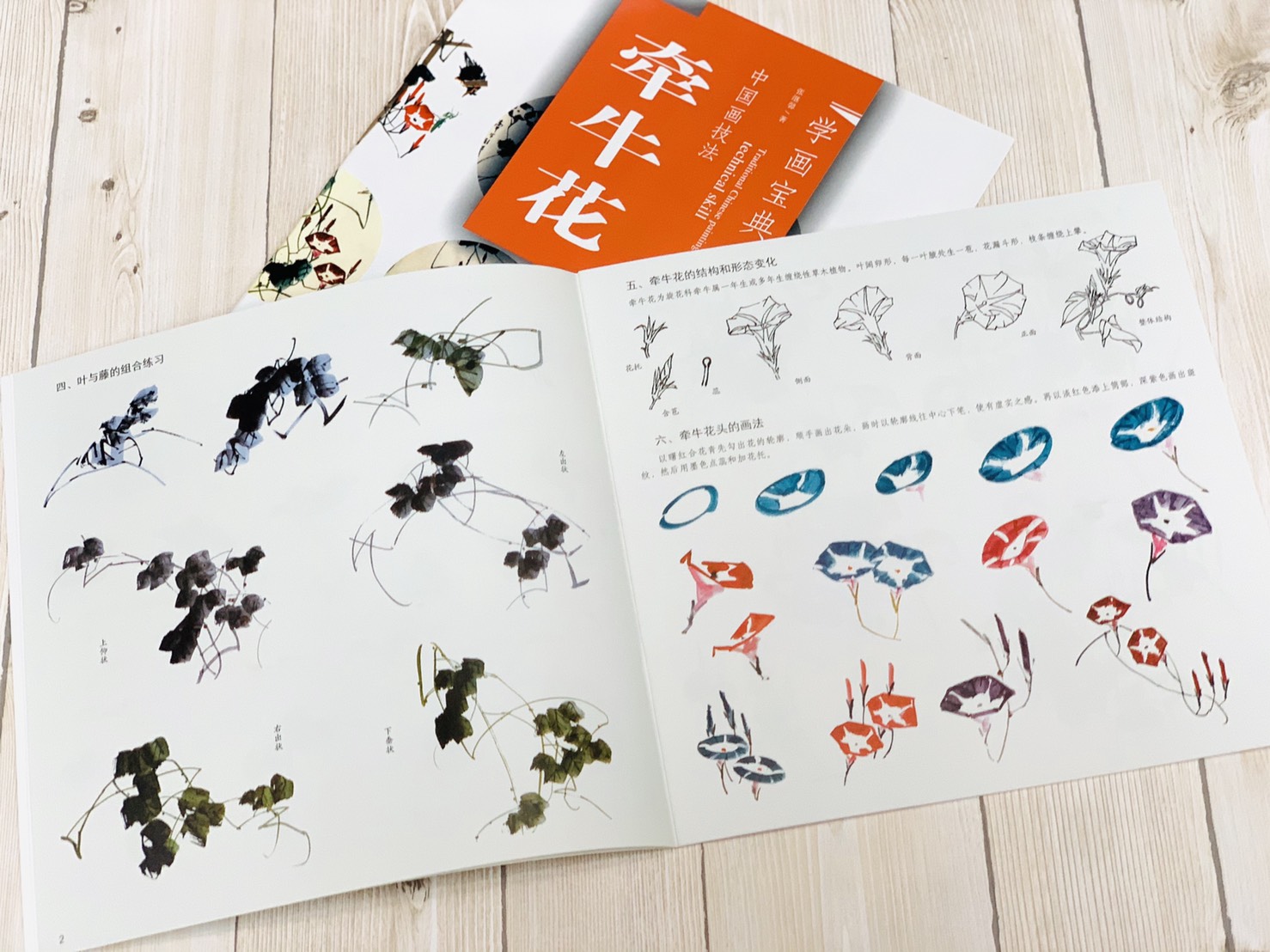《學畫寶典 牽牛花 》中國畫技法 福建美術出版社 寫意 國畫 