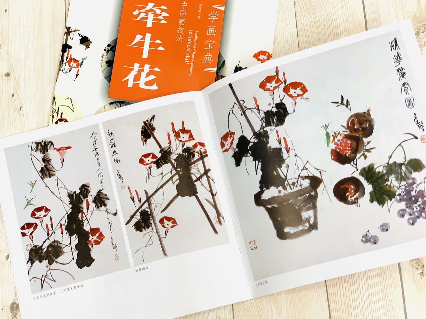 《學畫寶典 牽牛花 》中國畫技法 福建美術出版社 寫意 國畫 