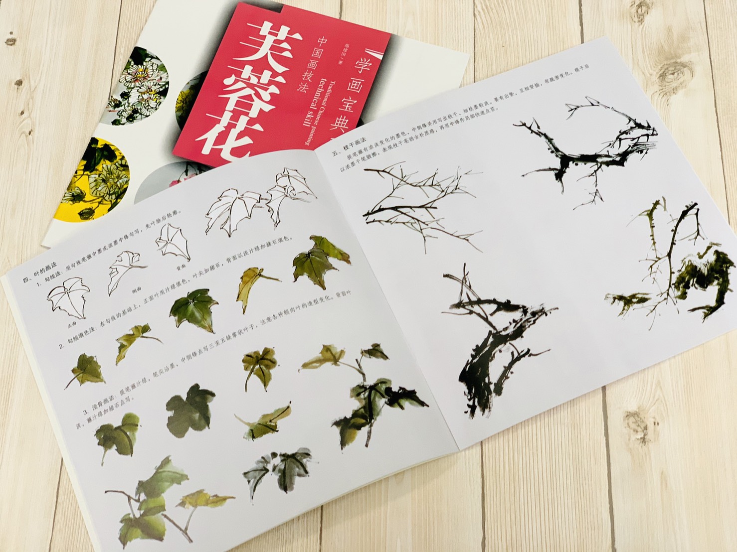 《學畫寶典 芙蓉花 》中國畫技法 福建美術出版社 寫意 國畫 