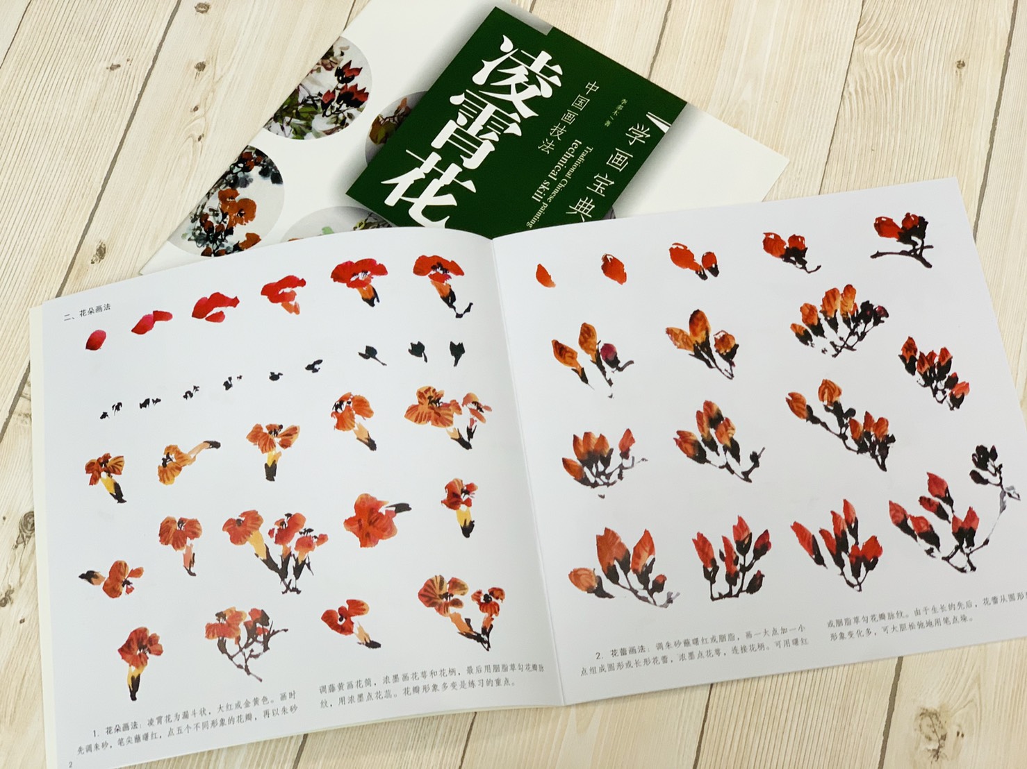 《學畫寶典 凌霄花 》中國畫技法 福建美術出版社 寫意 國畫 