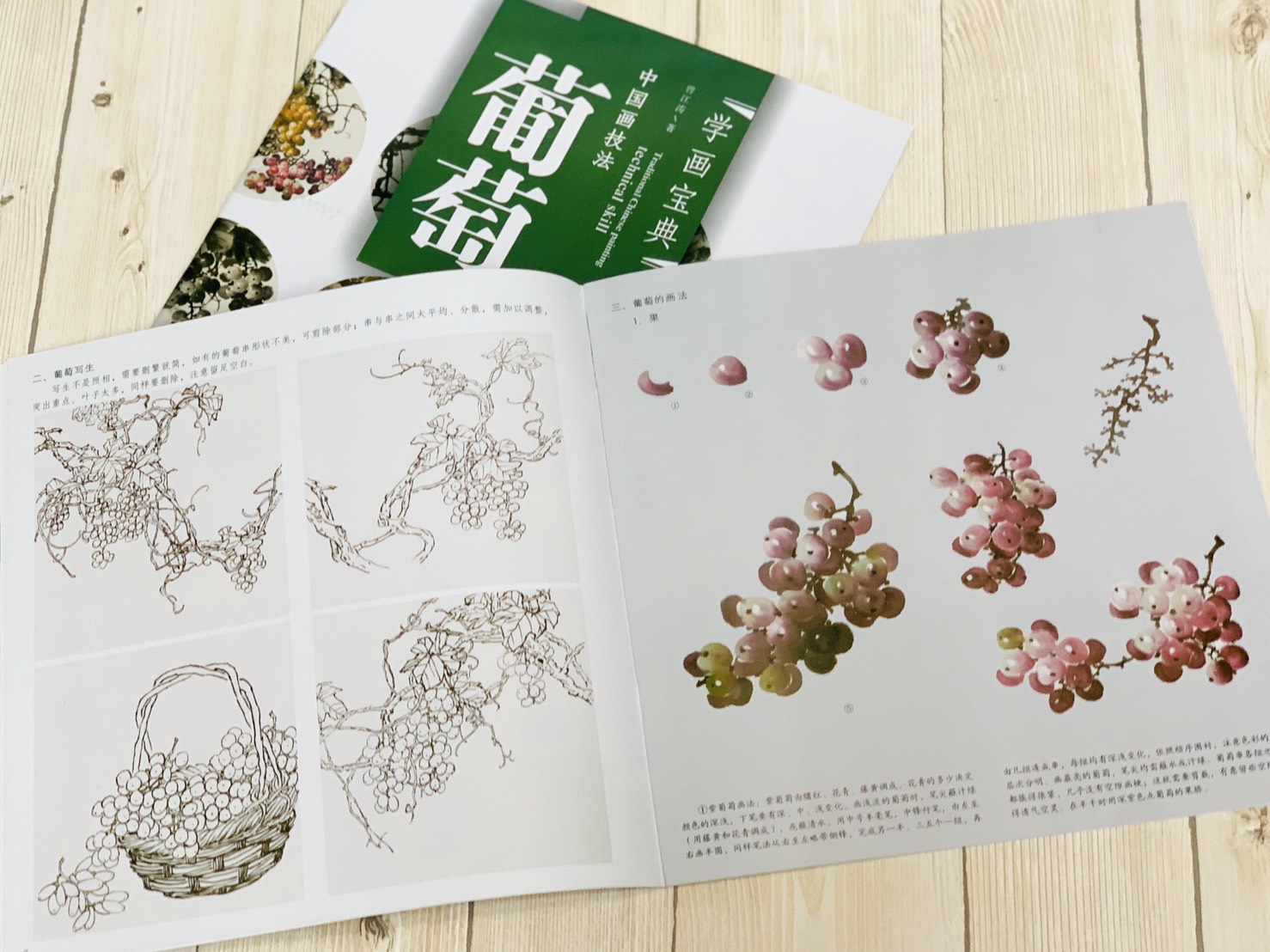 《學畫寶典 葡萄 》中國畫技法 福建美術出版社 寫意 國畫 